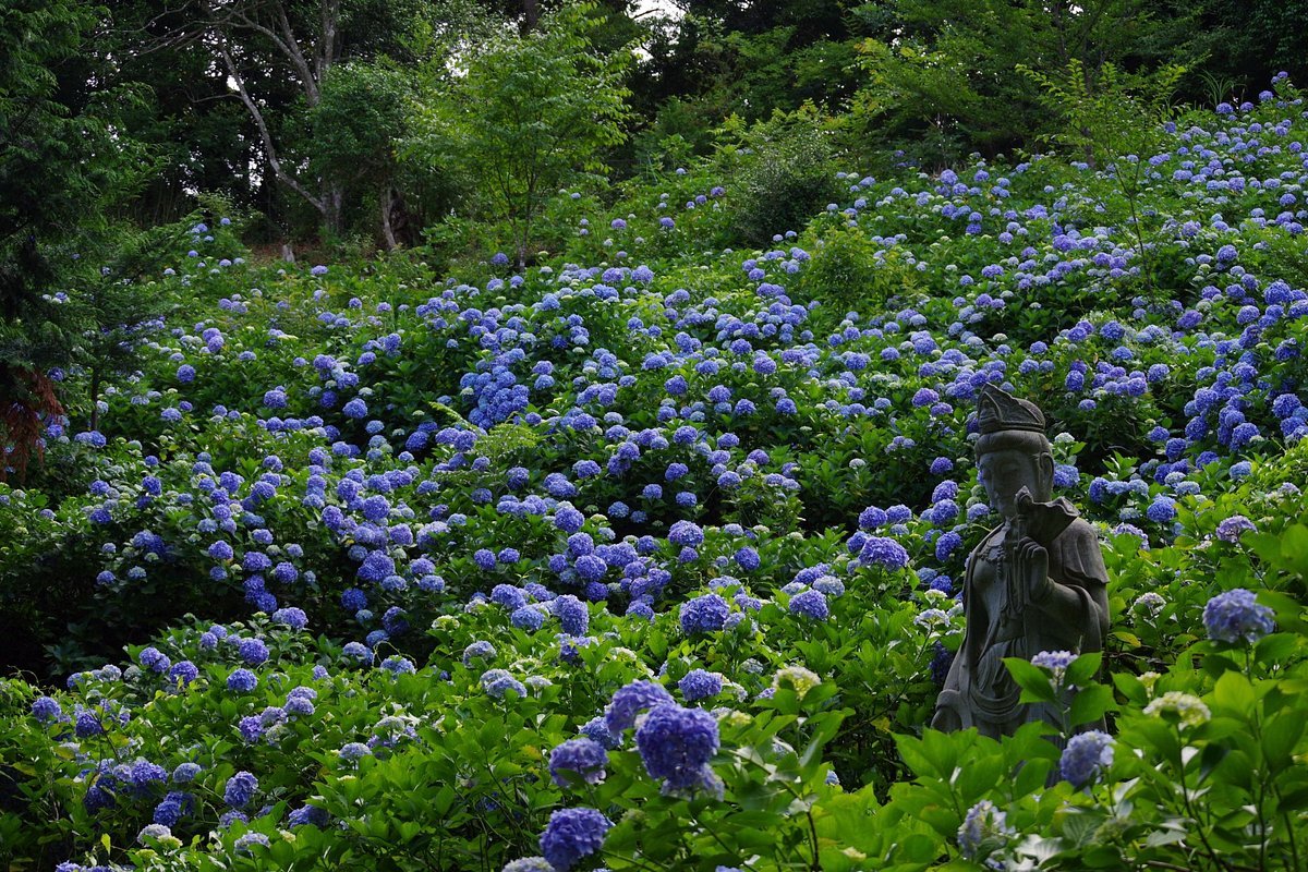 ⛩️ 아마쓰 신메이구 신사 (아마쓰 신메이구) 이미지 10